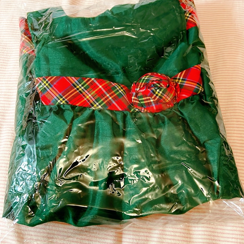 LAURA ASHLEY LONDON Holiday GIRLS LINED DRESS GREEN WITH RED PLAID TRIM Sz 4T - Picture 11 of 12
